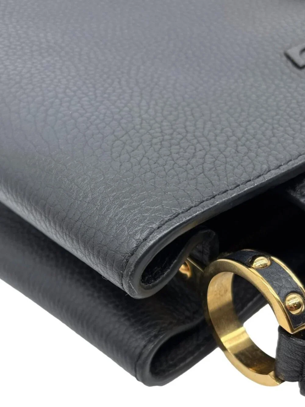 Louis Vuitton item details